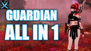 GW2 WvW  The Best Guardian Builds for WvW Roaming  Updated  Guild Wars 2 Janthir Wilds [upl. by Galatia]