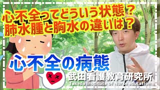 心不全ってどうなってるの？なぜ起座位がいいの？右心不全と左心不全の違いは？心不全の病態 [upl. by Borden]