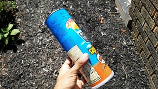 Watch the Eclipse with a pringles can [upl. by Nythsa141]