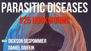 Parasitic Diseases Lectures 25 Hookworms [upl. by Akemehs]