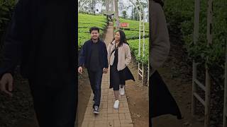 SANTUY DI TEH PANAMA panama tea wisata dieng shortsyoutube youtubeshorts [upl. by Mahtal]