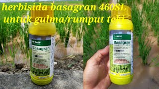 herbisida basagran 460SL [upl. by Tterb]