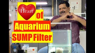 Aquarium Sump Filter  Best Aquarium Filtration  Natural BIO FILTRATION Mayur Dev Aquascaper 4K [upl. by Wunder]