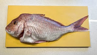 Catch and Fillet 60cm Snapper [upl. by Ylehsa]