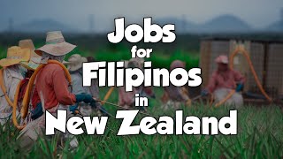 12 Most InDemand Jobs for Filipinos in New Zealand [upl. by Azil]