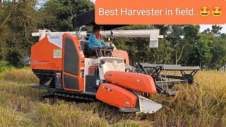 Kubota king pro 👑Best harvester working in field🤩🤩 [upl. by Zanahs]