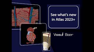 Human Anatomy Atlas 2023＋ A complete 3D reference [upl. by Aiki]