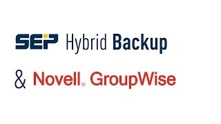 Novell GroupWise Backup amp Restore LangEN  SEP sesam Tutorial [upl. by Hannan756]