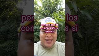 Un ostión sin progenitora acapulco comidademexico food ostiones quehaydecomer [upl. by Uriia]