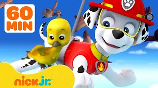 PAW Patrol Baby Animals Rescues amp Adventures w Marshall 🐥 1 Hour Compilation  Nick Jr [upl. by Lennor]