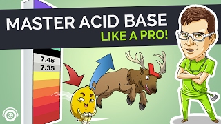 Acid Base Balances amp Imbalances  Full Nursing Lecture [upl. by Edna]