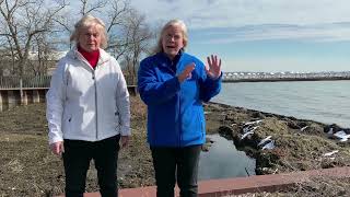 Lake St Clair Lyngbya algae muck study in Macomb County [upl. by Neelia145]