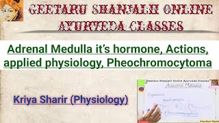 Adrenal medulla it’s hormone Actions applied physiology pheochromocytoma BAMS Kriya Sharir Geetaru [upl. by Carothers]