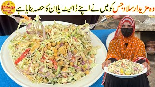 Diet Salad Recipe for Everyone  Meri Diet Salad Recipe  Healthy Salad Recipe  Village Handi Roti [upl. by Nodababus]