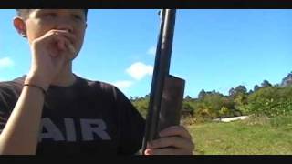 Benjamin Franklin Model 342 22 Pellet Gun Review [upl. by Rocca]