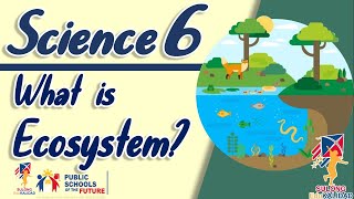 SCIENCE 6 ECOSYSTEM  Grade 6 [upl. by Ecirtnuahs455]