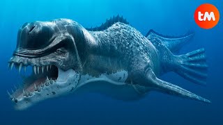 10 PREHISTORIC WHALES You Won´t Believe Existed [upl. by Tallu]