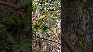 My husband song🤣😂funny youtube tending reels  bird nature gifts [upl. by Itin540]