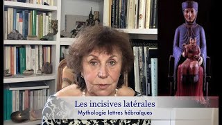 S2E4  les incisives latérales et la mythologie [upl. by Bartie703]