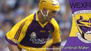 Rory McCarthy Wexford Hurling [upl. by Perkin585]