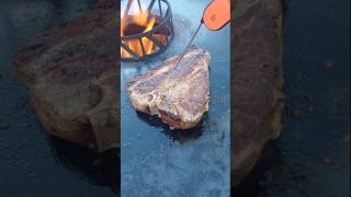 T  Bone in 30 sec [upl. by Gaelan]