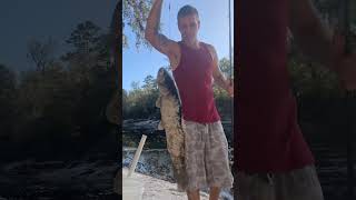 Fishing the Suwannee river another bowfin from the other day [upl. by Nossaj]