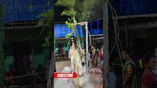 Fancy dress bhoot ghost horrorsoundeffect horrorsounds funny ghostsoundeffect comedyshort [upl. by Nosnarb]