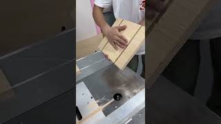 DustFree Track Saw and Edge Banding Machine for Precision Woodworking [upl. by Rollecnahc]