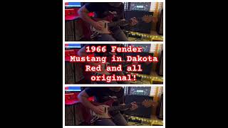 Checking out a beautiful 1966 Dakota Red Fender Mustang [upl. by Range]