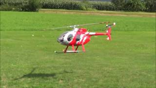 T Rex 600  RC Hughes MD 500E Scaleflying [upl. by Asilahs]