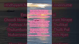 Alare nee yennile song lyrics malayalam melody song love songlyrics alare [upl. by Enyluqcaj335]