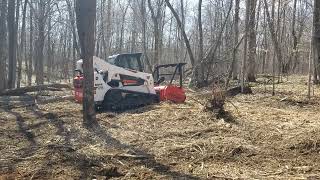 Bobcat T770 with Fecon Forestry Mulcher Part12 [upl. by Acinahs]