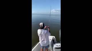 Redfish catch in Grand Isle La [upl. by Connor]