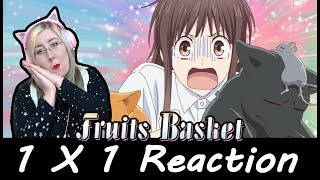 THINGS ARE WILD  Fruits Basket 2019 Episode 1 Reaction  Zamber Reacts [upl. by Nallac]