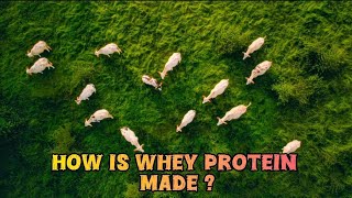 How is Whey Protein Made [upl. by Dorotea]