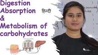 Carbohydrates  Digestion  Absorption  Metabolism [upl. by Osicran]