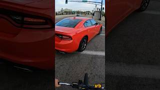 L cars 🚴🏽‍♂️🚙👎🏽 bikelife wheelie cycling bike commuting shorts youtubeshorts [upl. by Aynna501]