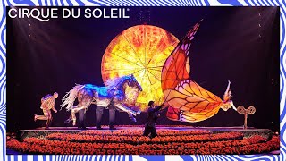 Cirque du Soleil will bring LUZIA to Sydney and The Entertainment Quarter in 2024 [upl. by Dennard]