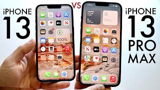 iPhone 13 Vs iPhone 13 Pro Max In 2023 Comparison Review [upl. by Ytinirt]