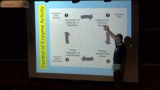 Control of Enzyme Activity [upl. by Ruford]