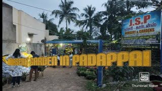 Nursery garden in padappai  worth of money  Maddy Lifestyle ☺️☺️☺️ [upl. by Ajile]