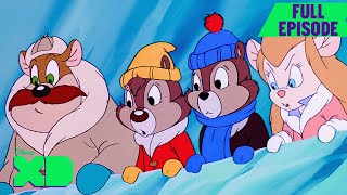 Chip n Dale Rescue Rangers Full Episode  S3 E4  A Chorus Crime  disneyxd [upl. by Schatz655]