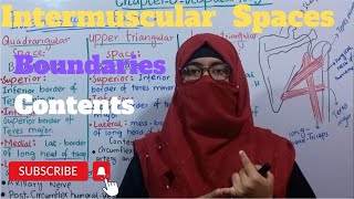 Anatomy of intermuscular Spaces  boundaries  contents  scapular region  upper limb anatomy  bdc [upl. by Allisurd]