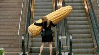 Funniest Escalator Fails February 2013 [upl. by Ut]