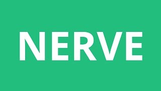 How To Pronounce Nerve  Pronunciation Academy [upl. by Ymmot]