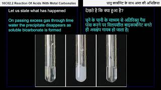 3 10C022 CV3 Reaction of metal carbonate and hydrogencarbonate with acids Hindi [upl. by Constantina]