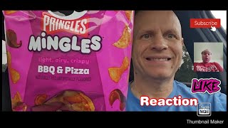 Reaction to New Pringles Mingles BBQ amp Pizza Flavor [upl. by Adnertal721]