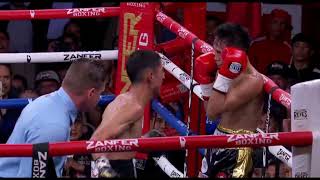 Angel Ayala vs Dave Apolinario  IBF Flyweight Title Review No Footage [upl. by Jehovah]