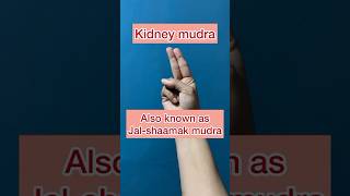 kidneydisease mudra healthtips holistichealth ytshorts amaran edema periodpain shorts fyp [upl. by Alecram]