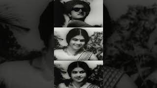 Avakasi Movie Shorts  അവകാശി  Old Movie  Prem Nazir amp Miss Kumari  S P Pillai  Evergreen Hit [upl. by Hermine94]